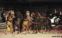Účast na výstavě Kůň 2016 v Lysé nad Labem