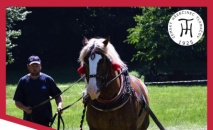 Kvalifikační soutěž na MČR – Kompletní soutěž chladnokrevných koní – jednospřeží a dvojspřeží